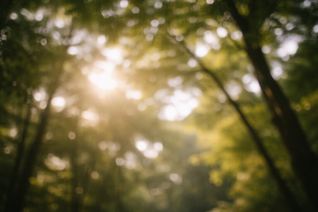 Sanftes Licht zwischen Baumkronen, unscharfe Formen, ruhige und entspannte Wirkung.