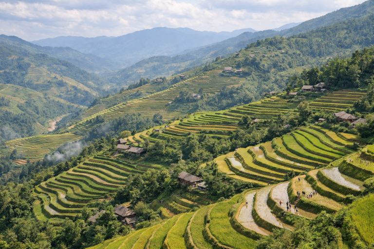 Reisterrassen in Hoàng Su Phì im Hochland Nordvietnams, die sich stufenförmig über steile Berghänge ziehen und den Maßstab der Landschaft zeigen.